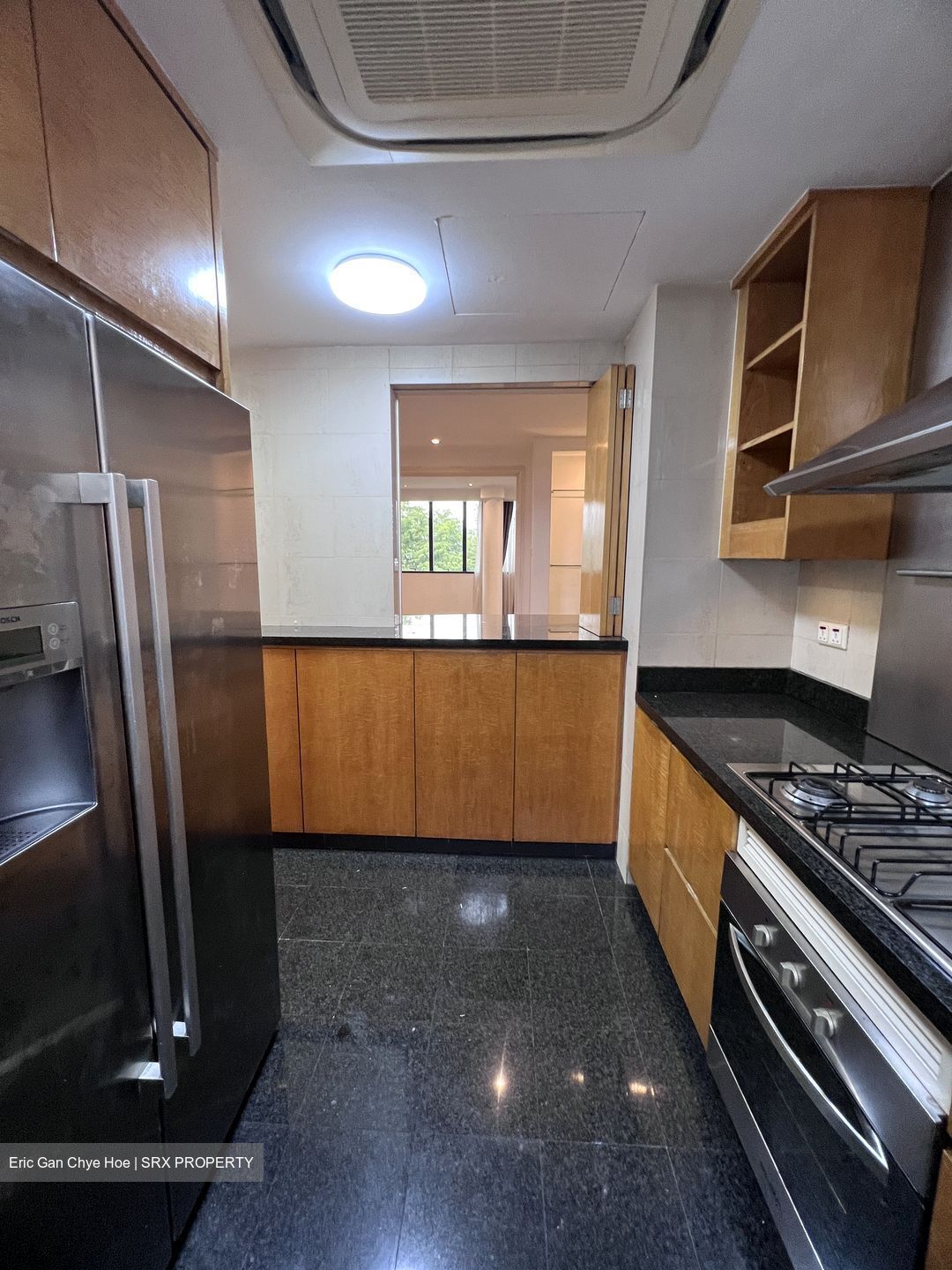 Grange 70 (D10), Apartment #611193801